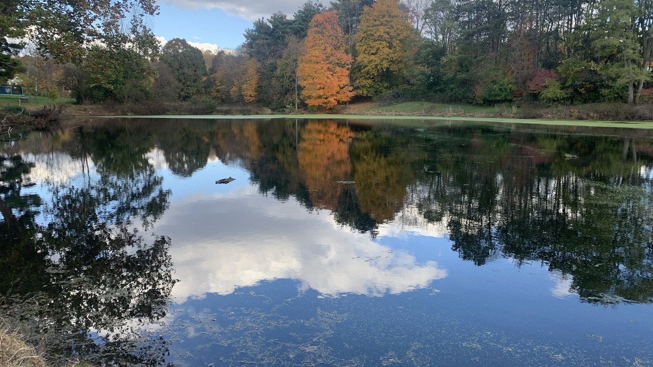 Photo of Outdoor in Mount Vernon