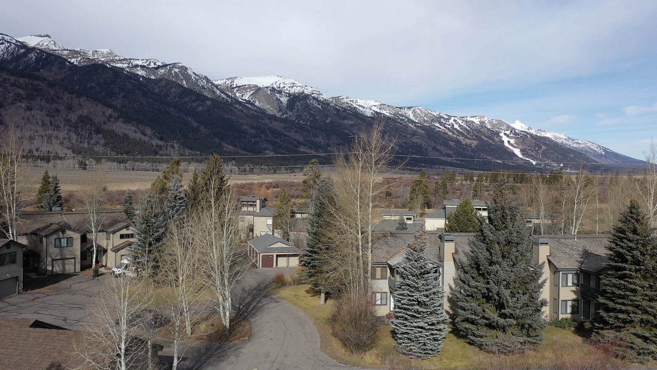 Photo of Others in Moose Wilson Road