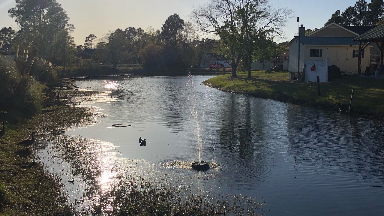 Photo of Outdoor in Red Hill