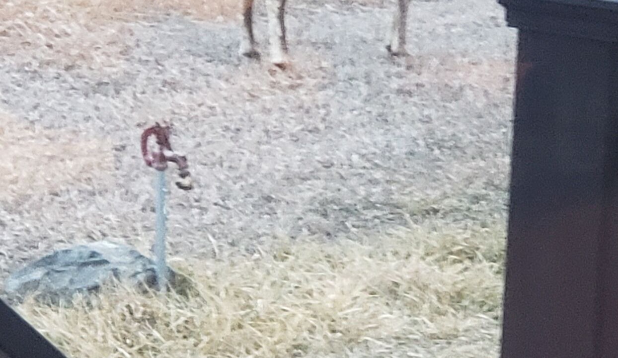 Photo of Others in Cascade
