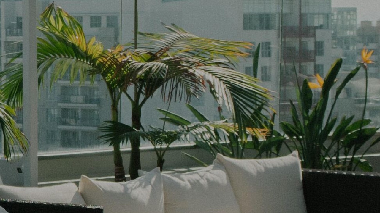 Photo of Outdoor in NoHo Arts District