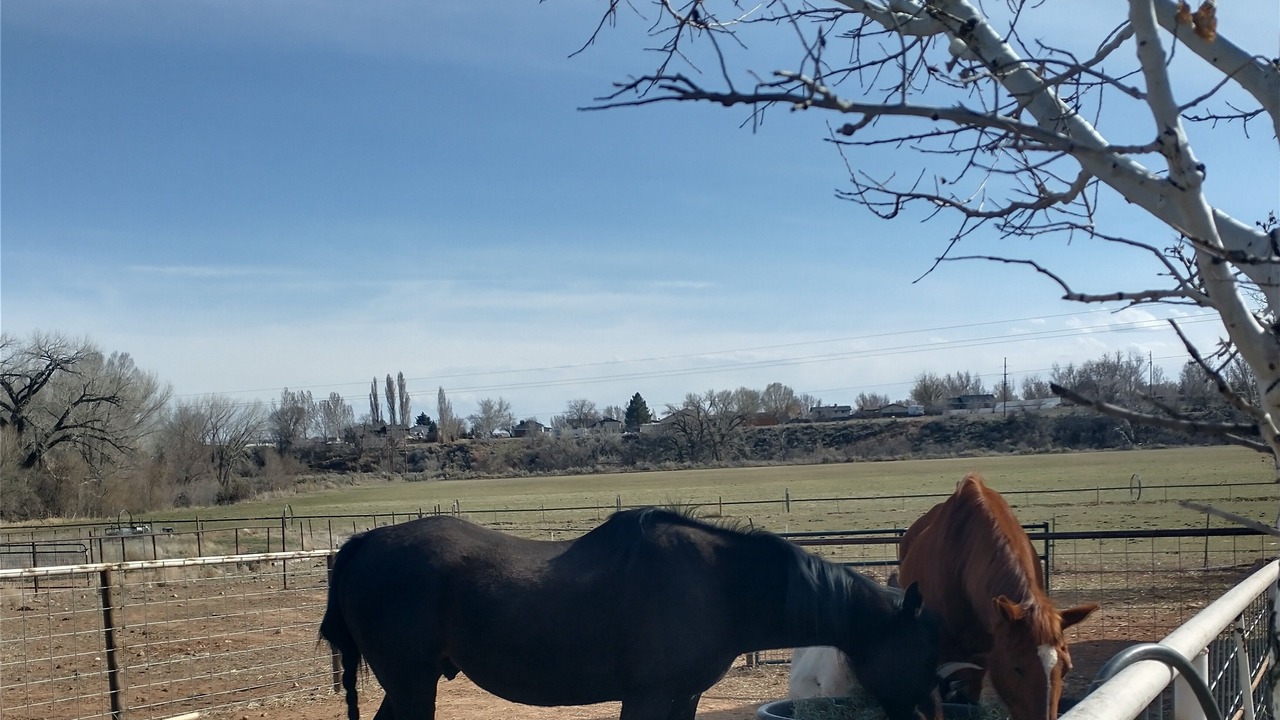 Photo of Outdoor in Roosevelt