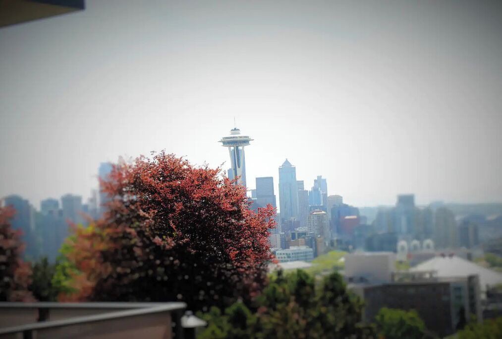 Photo of Others in Lower Queen Anne