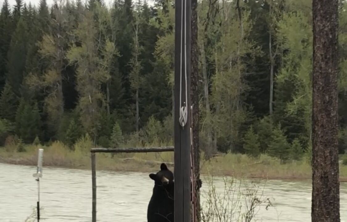 Photo of Others in Columbia Falls