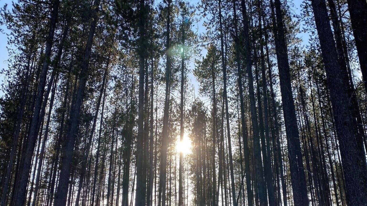 Photo of Others in Columbia Falls