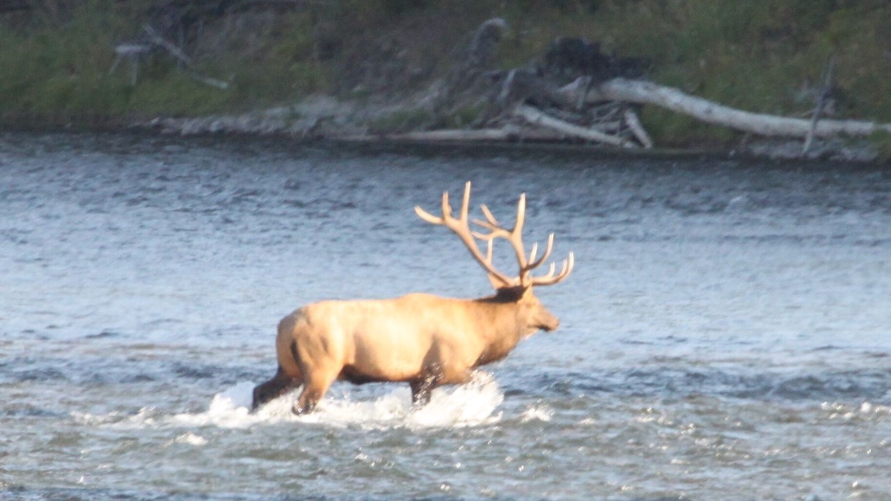 Photo of Others in Columbia Falls
