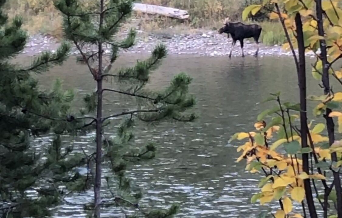 Photo of Others in Columbia Falls