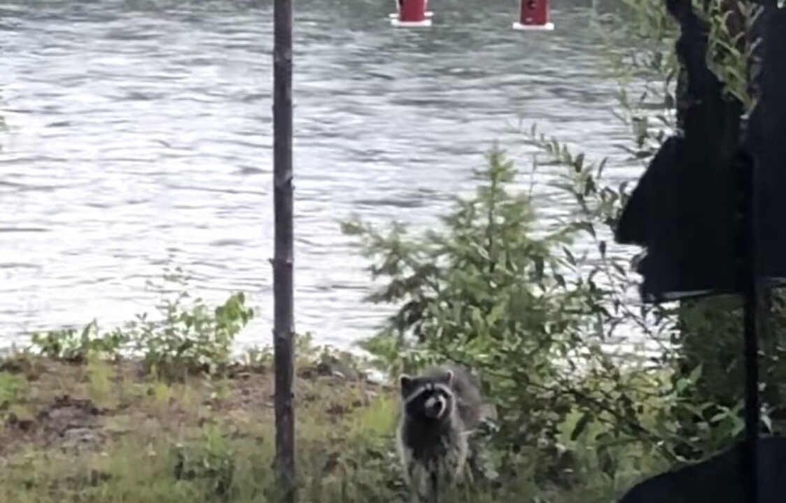 Photo of Others in Columbia Falls