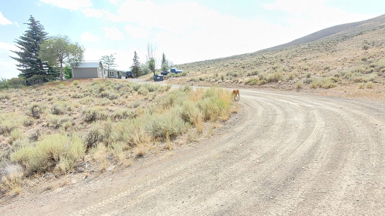 Photo of Others in Custer County