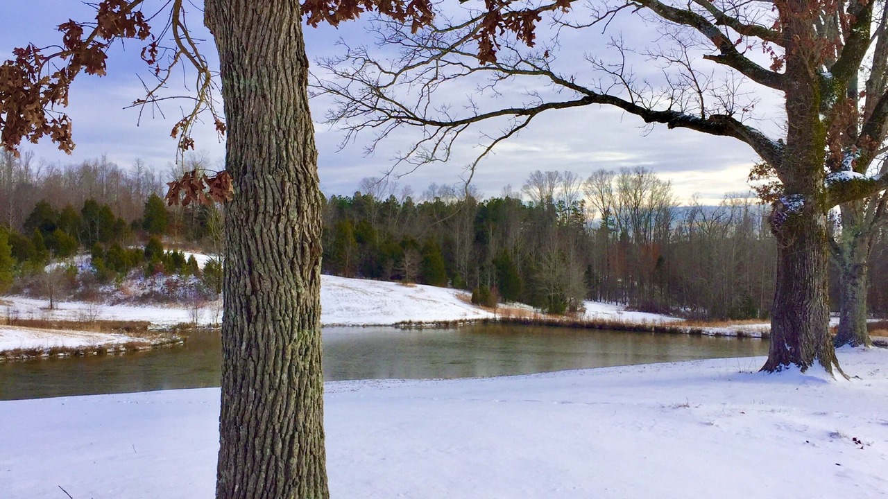 Photo of Outdoor in Lexington