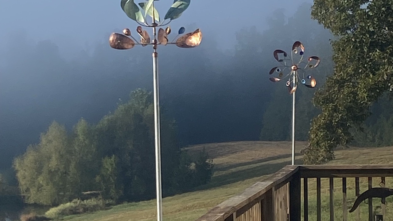 Photo of Outdoor in Lexington