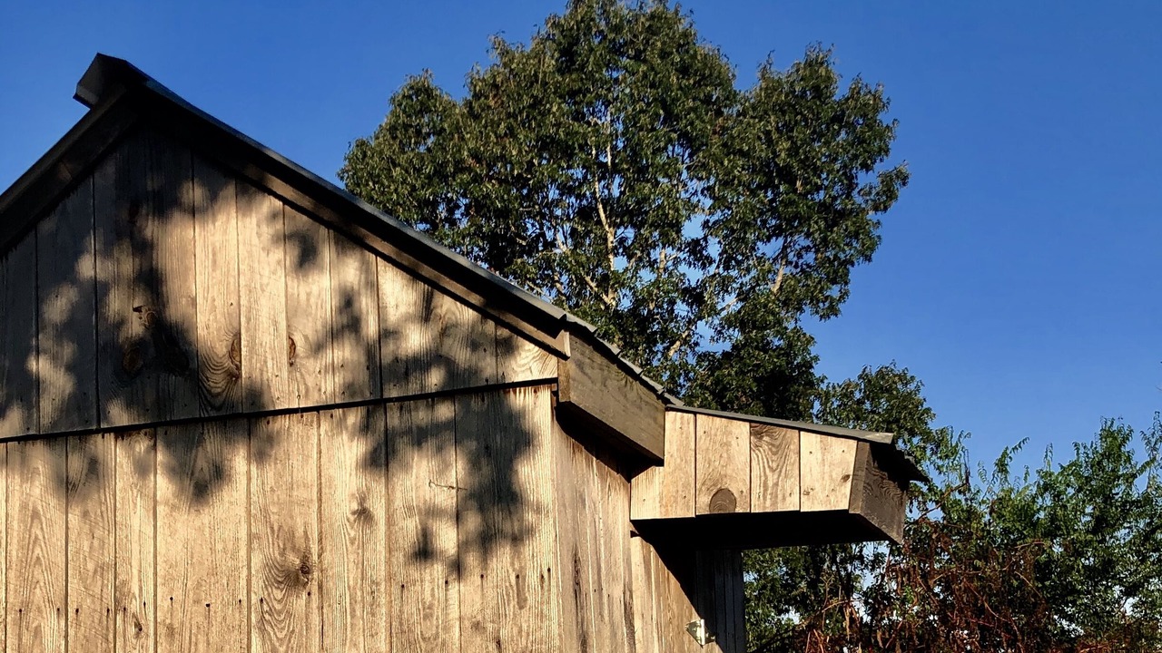 Photo of Outdoor in Lexington