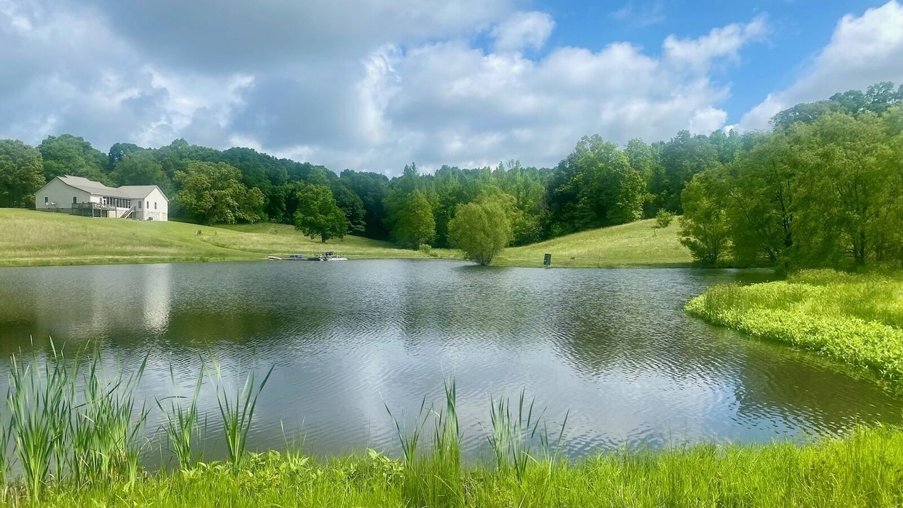 Photo of Outdoor in Lexington