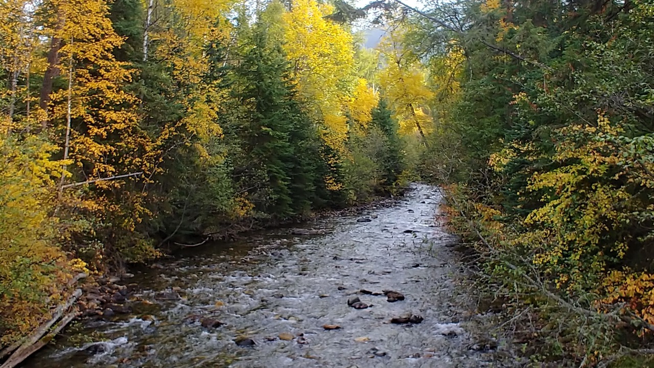 Photo of Outdoor in Eureka