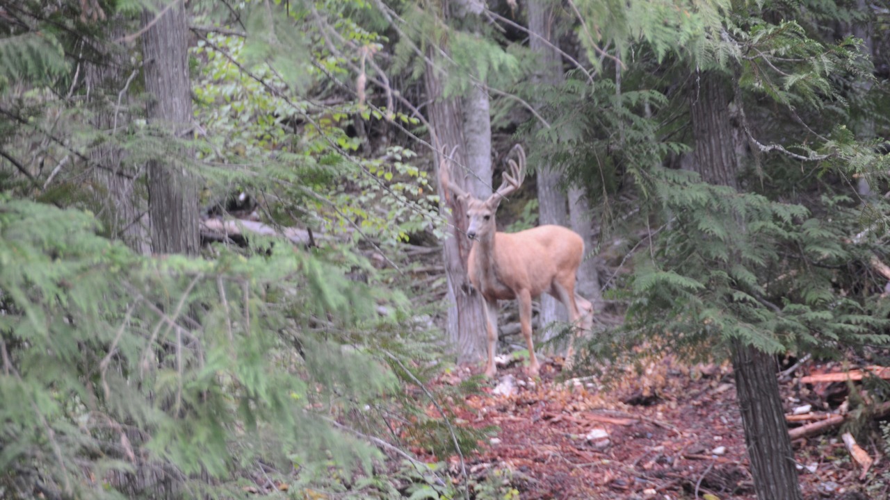 Photo of Outdoor in Eureka
