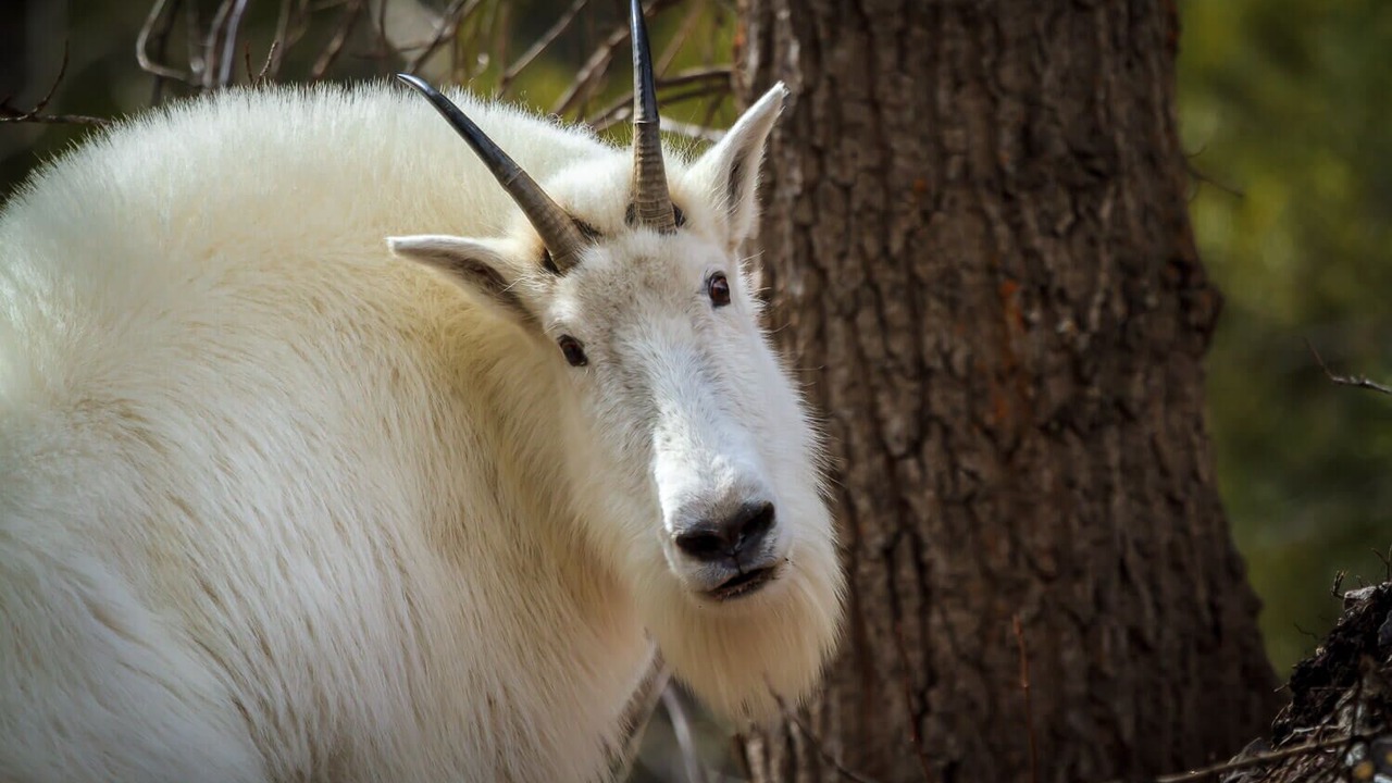 Photo of Others in Coram