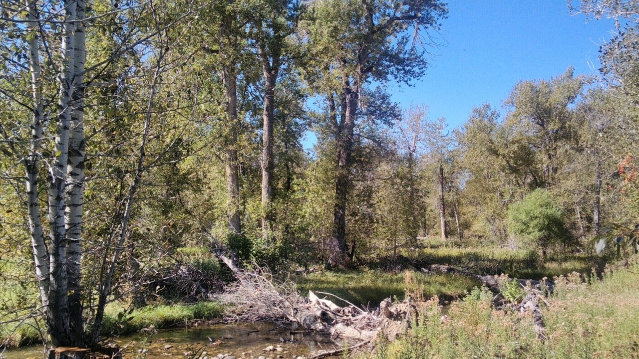 Photo of Outdoor in Fishtail