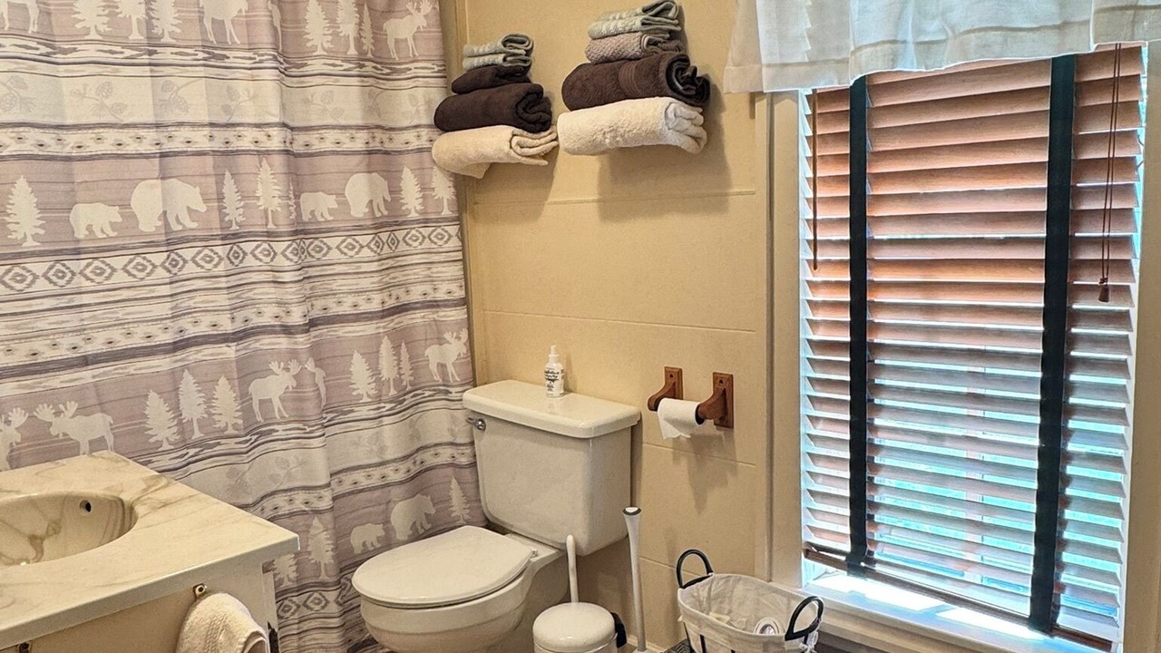 Photo of Bathroom in Fishtail
