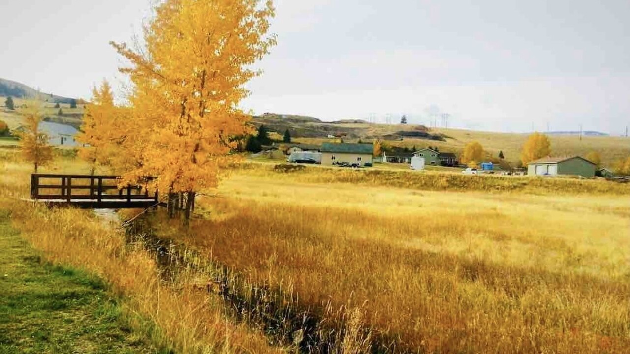 Photo of Others in Missoula