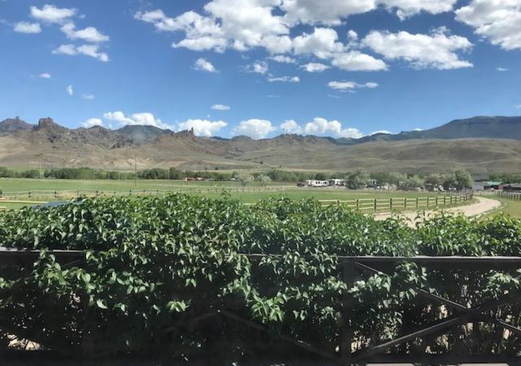 Photo of Outdoor in Cody
