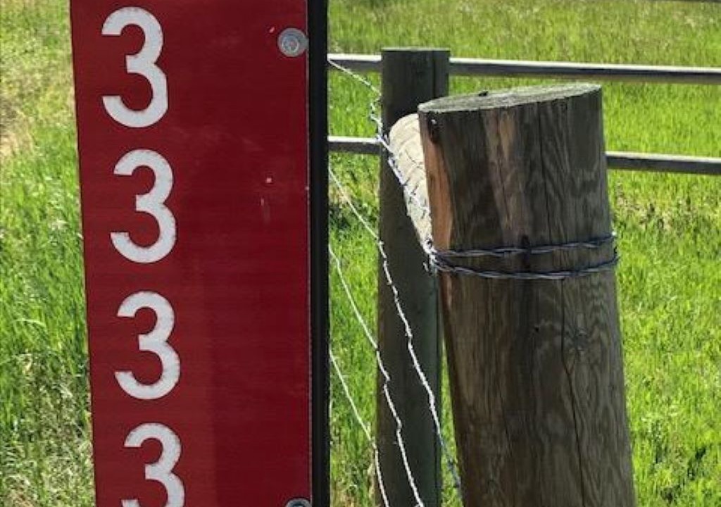 Photo of Outdoor in Cody