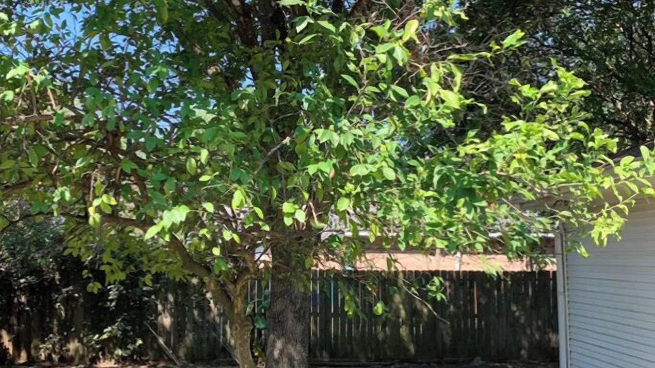 Photo of Others in Texas City