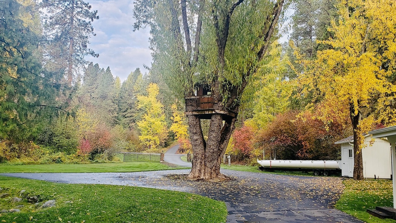 Photo of Outdoor in Hayden