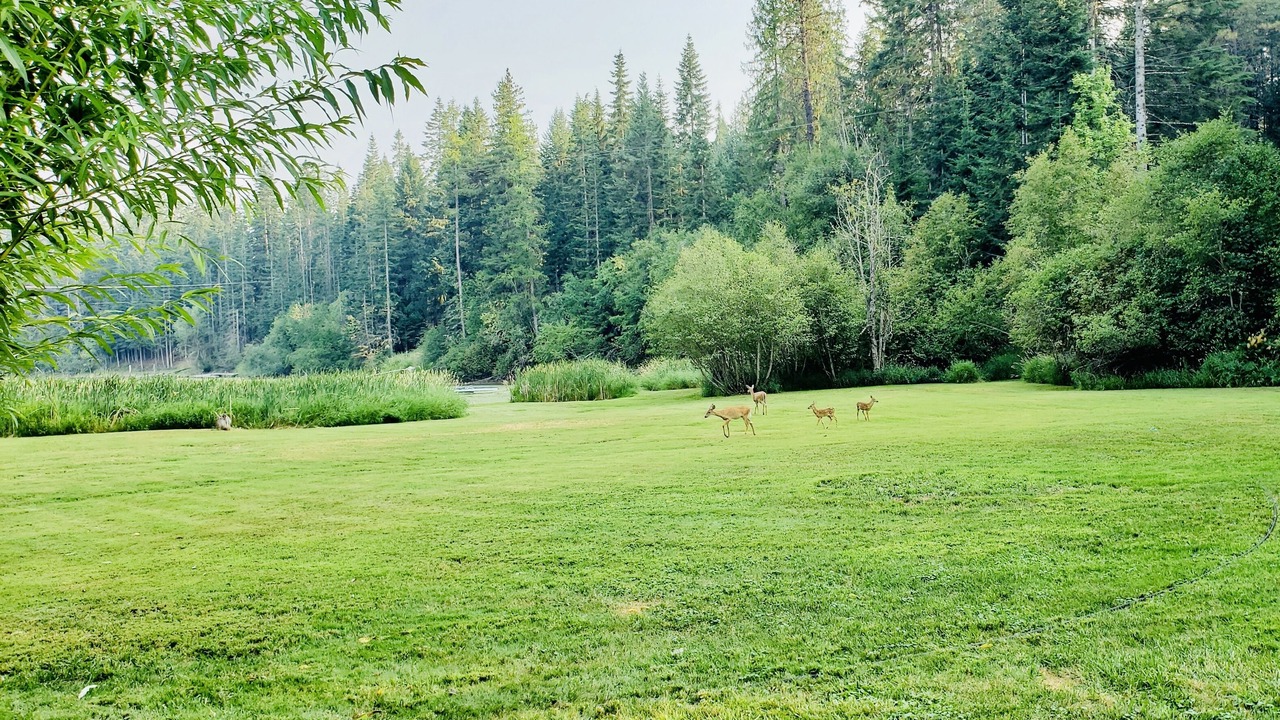 Photo of Others in Hayden