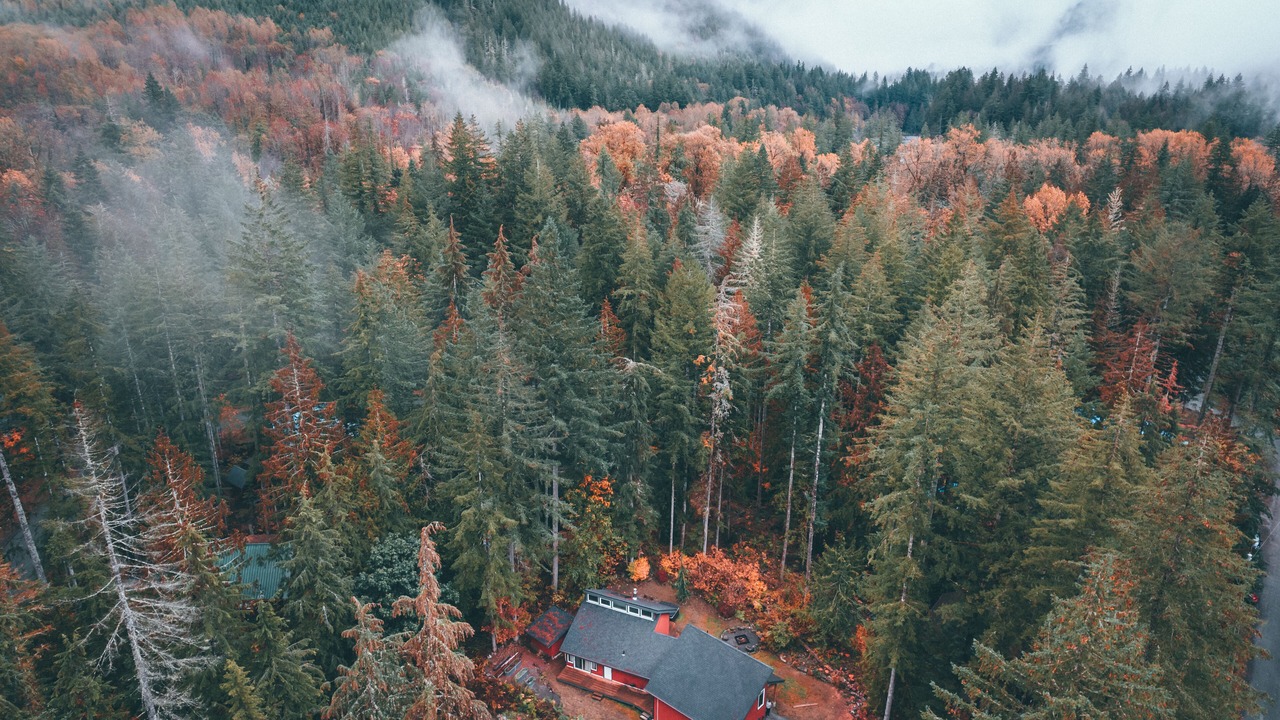 Photo of Outdoor in Warnick