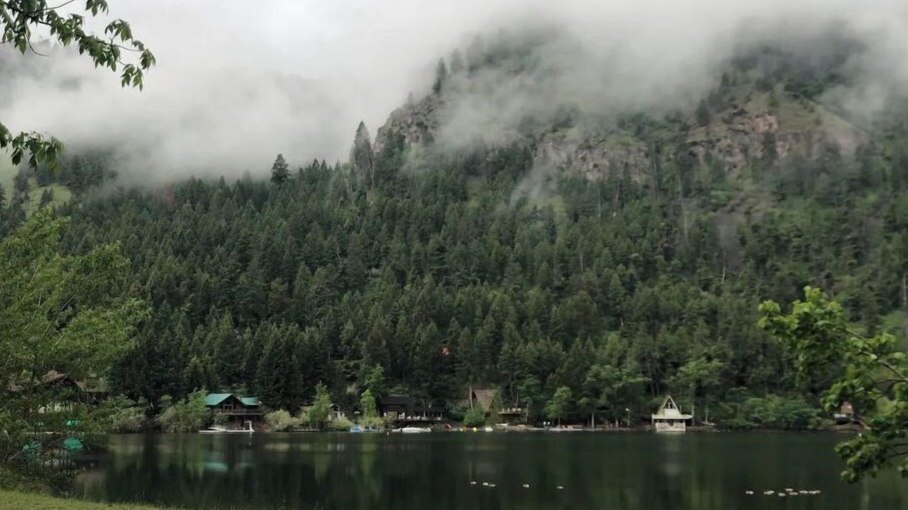 Photo of Outdoor in Salmon