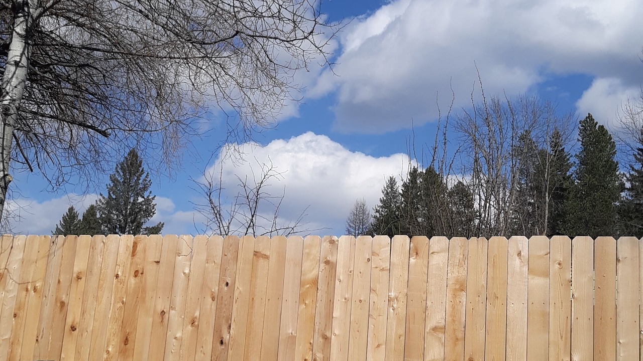 Photo of Outdoor in Coram