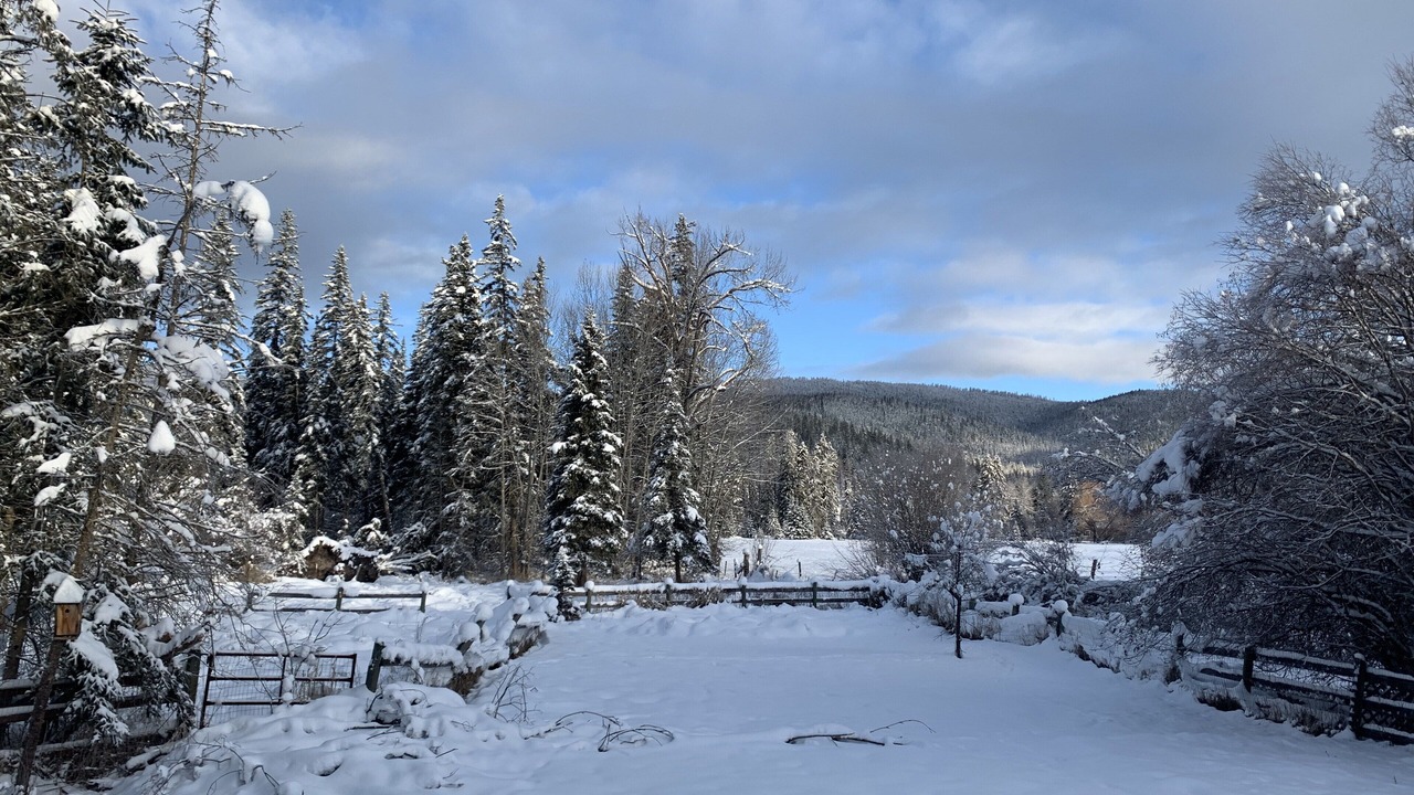 Photo of Others in Lake Mary Ronan