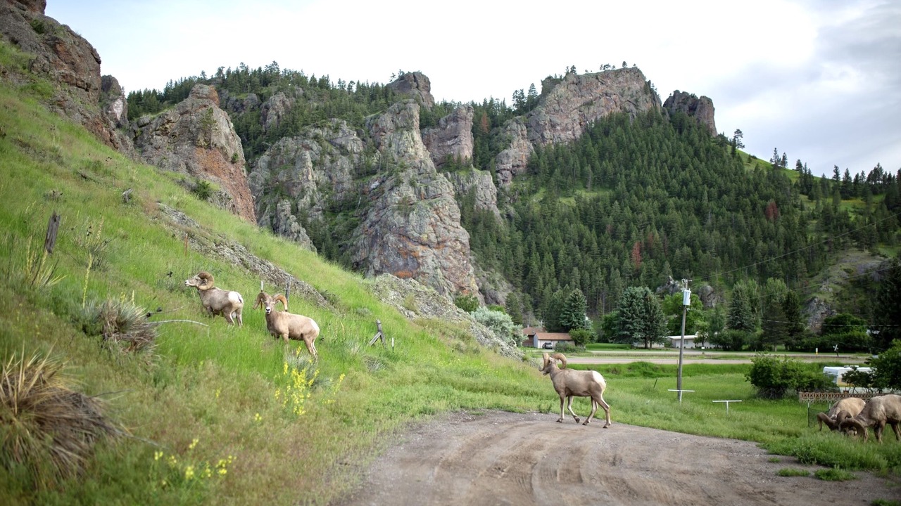 Photo of Others in Cascade