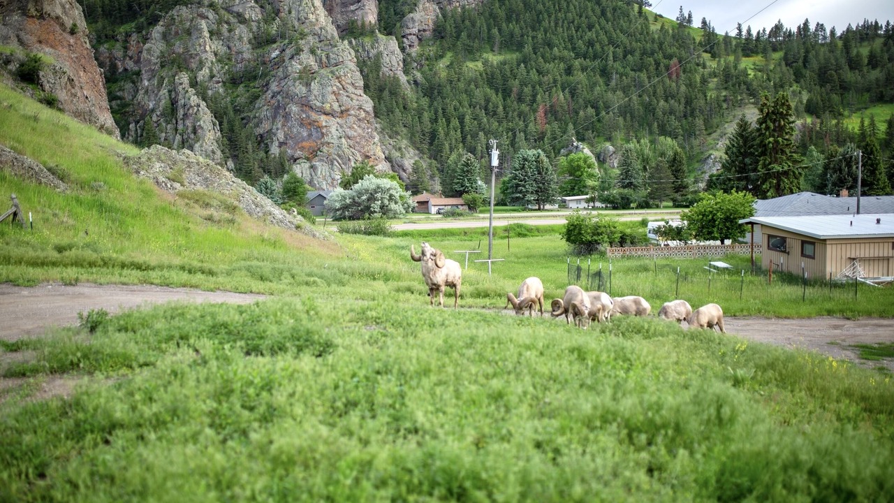 Photo of Others in Cascade
