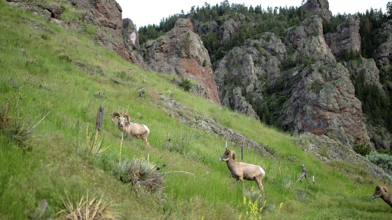 Photo of Others in Cascade