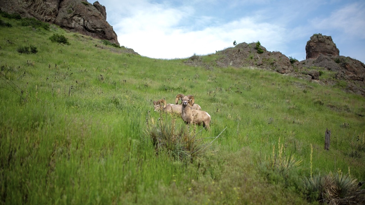 Photo of Others in Cascade