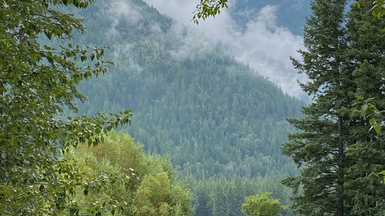 Photo of Others in Columbia Falls
