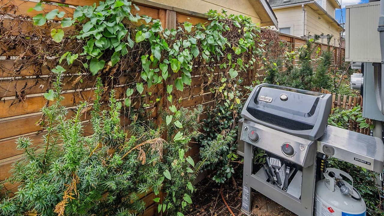 Photo of Outdoor in Minor