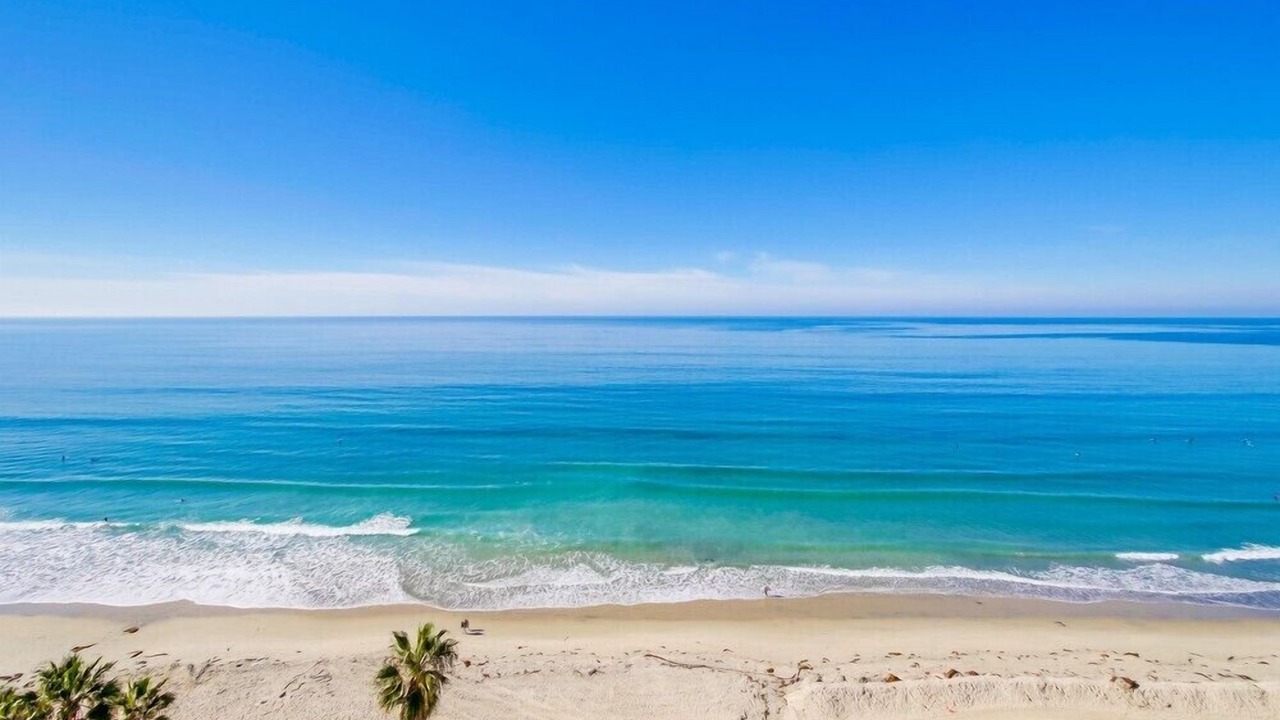 Photo of Others in North Pacific Beach