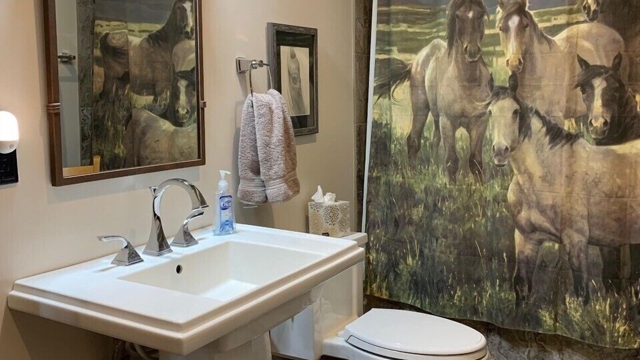 Photo of Bathroom in Emigrant