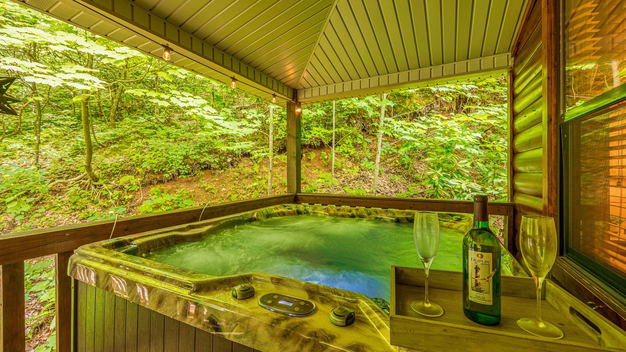 Photo of Others in Smoky Mountains
