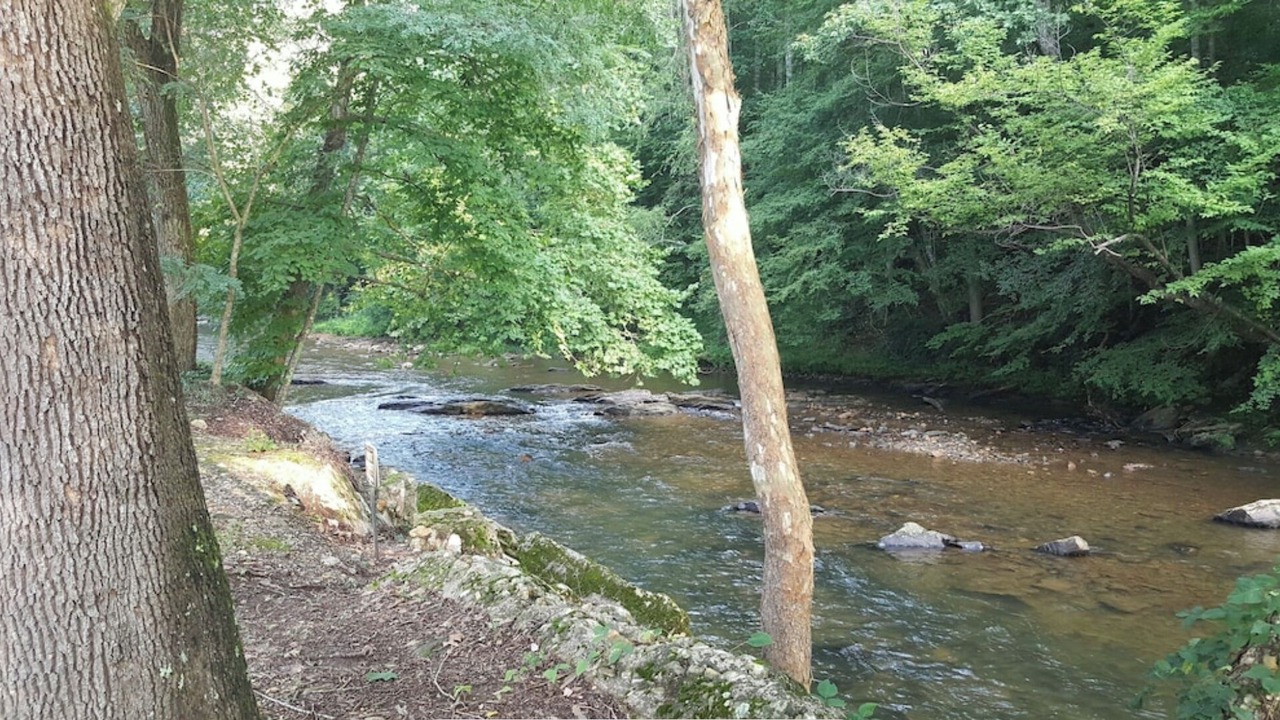 Photo of Others in Helen