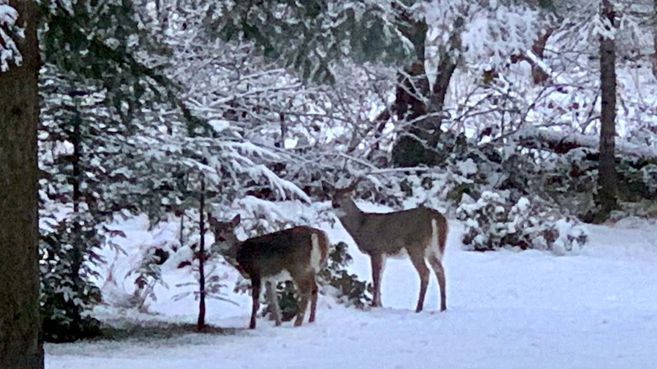 Photo of Others in Hayden