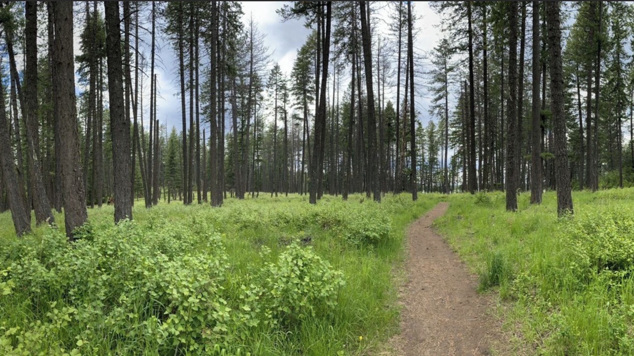Photo of Outdoor in Hayden