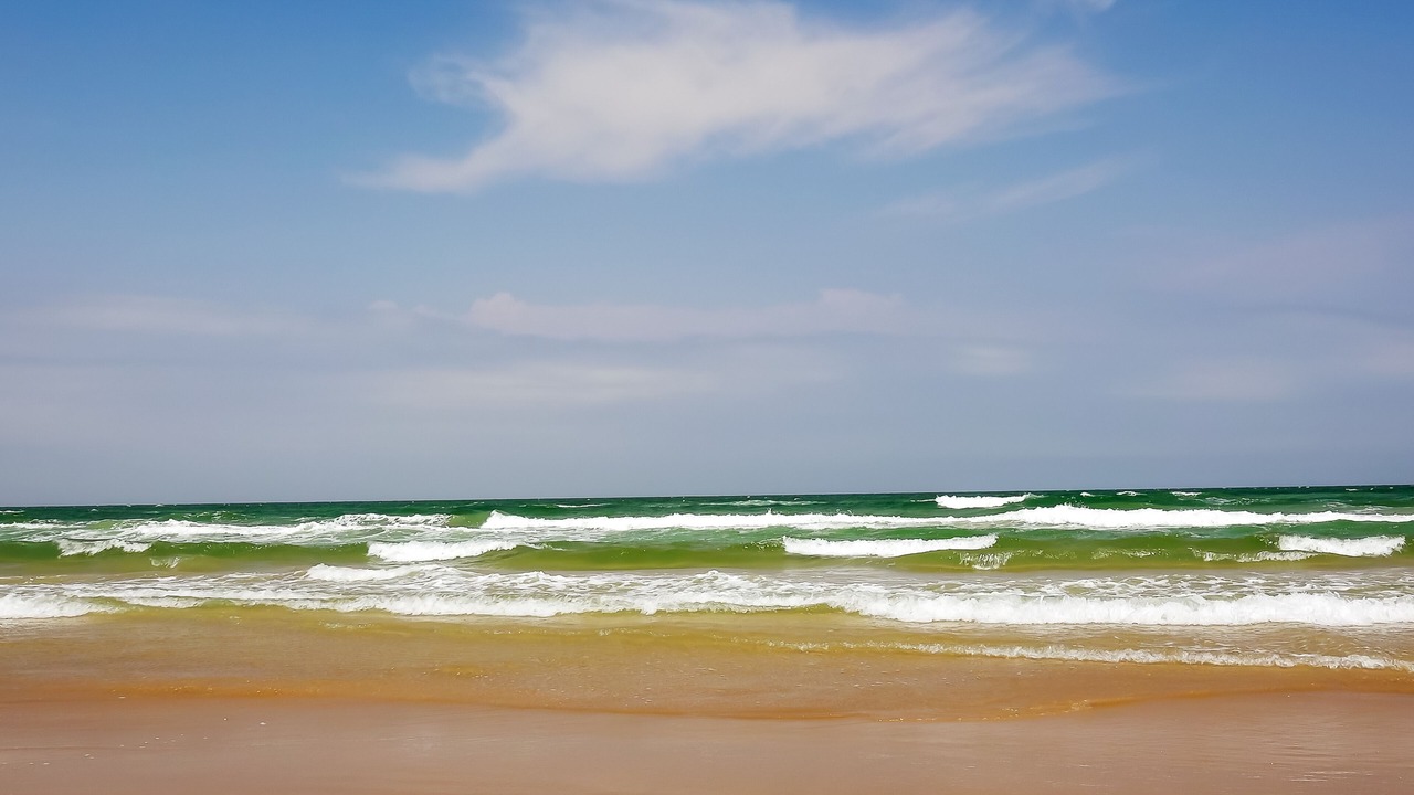 Photo of Others in South Padre Island