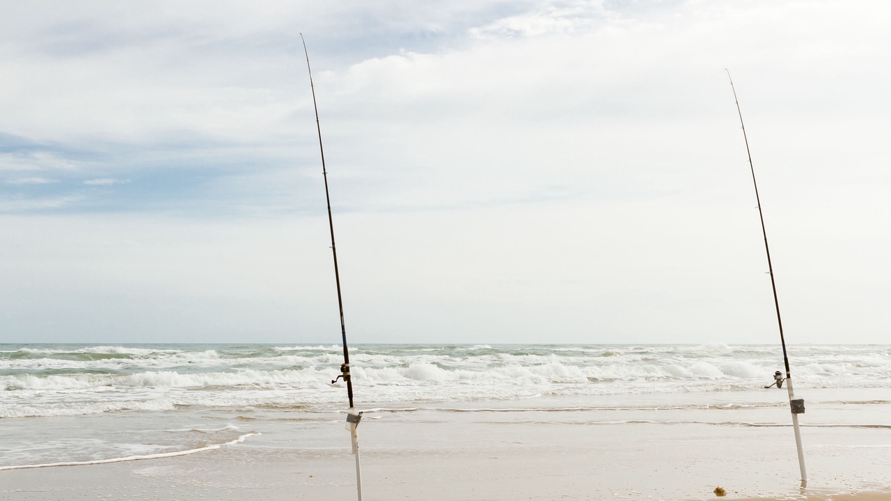 Photo of Others in South Padre Island
