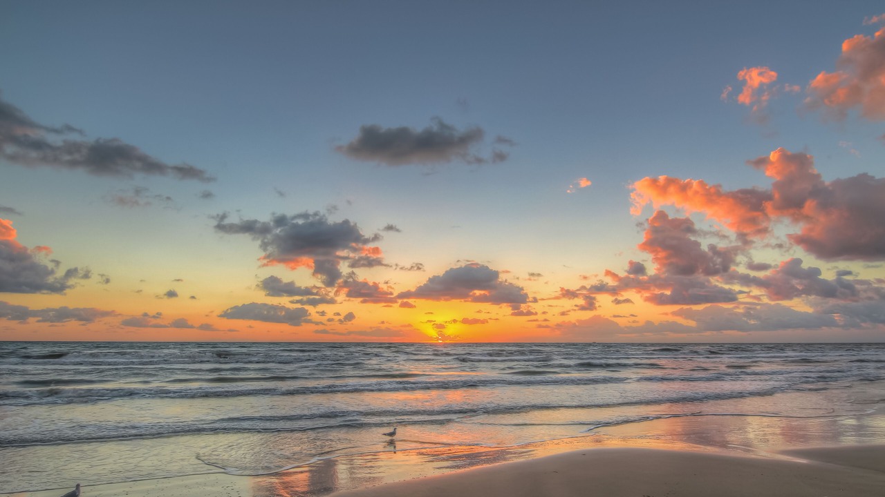 Photo of Others in South Padre Island