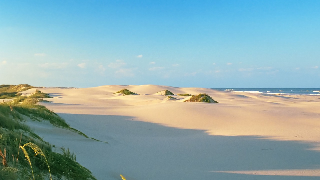 Photo of Others in South Padre Island