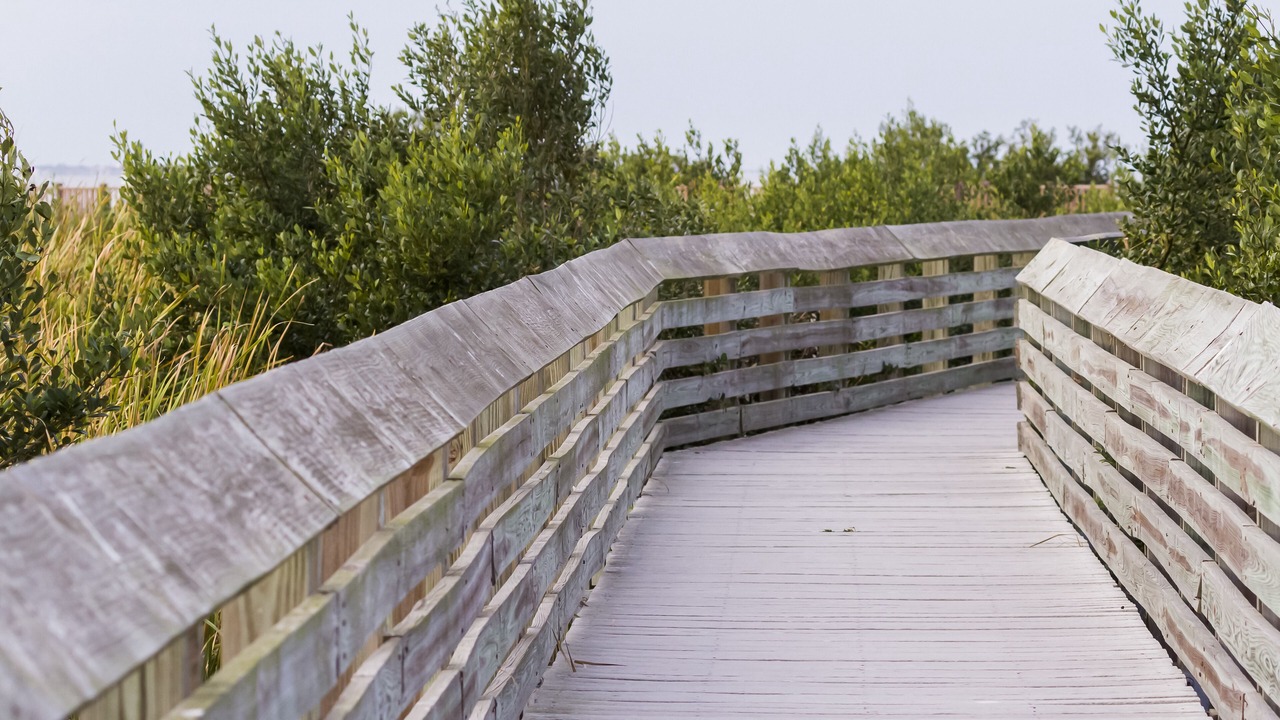 Photo of Outdoor in South Padre Island