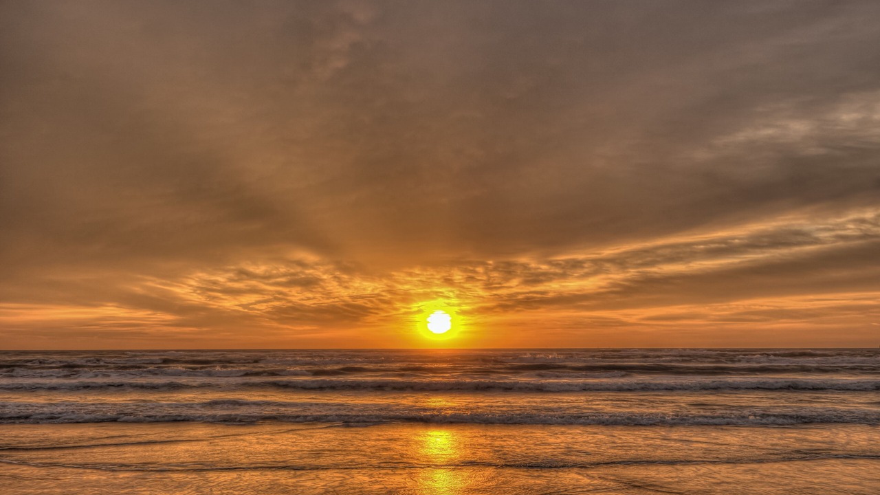 Photo of Others in South Padre Island
